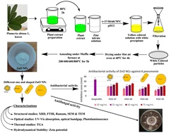 Graphical abstract: The effect of reaction and annealing temperatures on physicochemical properties of highly stable ZnO nanoparticles synthesized via a green route using Plumeria obtusa L.