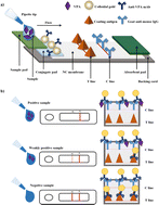 Graphical abstract: A paper sensor for unbound valproic acid detection in human serum