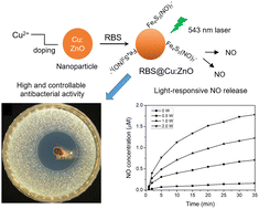 Graphical abstract: Roussin's black salt decorated Cu-doped ZnO nanoparticles for bacterial inhibition