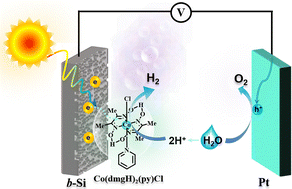 Graphical abstract: Nanoporous silicon photocathodes with [Co] molecular catalyst for enhanced solar-driven hydrogen generation