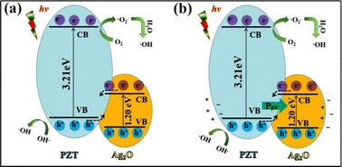 Graphical abstract: Piezo-/photo catalysis of the PZT/Ag2O heterostructure for dye decomposition under visible light and ultrasonic vibration