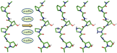 Graphical abstract: Conformational preferences of aza-proline residues and their impact on the relative stability of polyproline structures