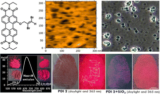 Graphical abstract: Perylene diimide with solid-state NIR luminescence for imaging of latent fingerprints (sweat pores)