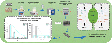 Graphical abstract: Photocatalytic degradation of different antibiotics using TiO2–carbon composites: a case study of tetracycline and ciprofloxacin