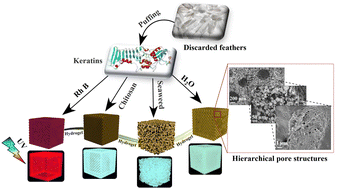 Graphical abstract: Novel luminescent hierarchical porous hydrogels with a three-dimensional interconnected network structure from feather keratin crosslinking reaction