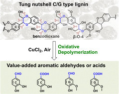 Graphical abstract: Catalytic oxidative conversion of C/G-type lignin coexisting in Tung nutshells to aromatic aldehydes and acids