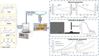 Graphical abstract: Preparation and performance of xylan-based Sanguisorba officinalis L. polyphenol preservative films