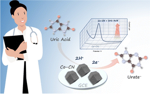 Graphical abstract: Ultrasensitive electrochemical detection of uric acid based on cobalt-embedded nitrogen-doped carbon