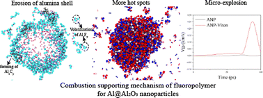 Graphical abstract: The combustion-supporting mechanism of fluoropolymers on aluminum particles studied using reactive dynamics simulations
