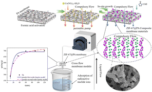 Graphical abstract: ZIF-67@PA membranes based on deep permeation for rapid removal of a radionuclide: Th(iv)