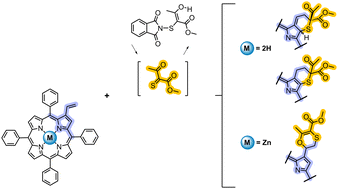 Graphical abstract: The dual behaviour of β-vinylporphyrins in the presence of α,α′-dioxothiones