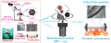 Graphical abstract: Hierarchical sulfur-doped scaly carbon coupled with a cerium oxide nanoparticle-based electrochemical sensor for the sensitive determination of uric acid