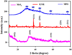 Graphical abstract: Gold nanorods incorporated into a MoS2/Fe3O4 nanocomposite for photothermal therapy and drug delivery