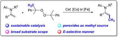 Graphical abstract: Copper- or iron-catalyzed stereoselective methylation of enamides using dicumyl peroxide as the methyl source
