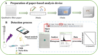 Graphical abstract: Equipment-free determination of ascorbic acid based on the UV-induced oxidation of 3,3′,5,5′-tetramethylbenzidine in a paper-based analysis device