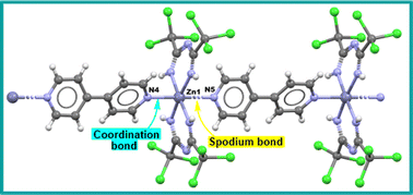 Graphical abstract: Spodium, halogen and hydrogen bonds in the reactivity of bis(2,4-bis(trichloromethyl)-1,3,5-triazapentadienato)-Zn(ii)
