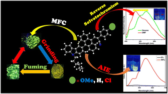 Graphical abstract: Aggregation induced emission and reversible mechanofluorochromism active carbazole–anthracene conjugated cyanostilbenes with different terminal substitutions
