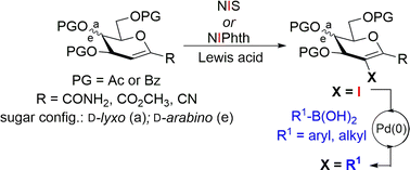 Graphical abstract: 2-Iodo-1-C-acceptor-substituted glycals: synthesis and transformation into 1,2-C,C-disubstituted glycals via Suzuki–Miyaura coupling reaction