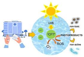 Graphical abstract: Natural degradation of ceftriaxone promoted by direct UVB light in aqueous media. Mechanistic analysis and cytotoxic effects on a eukaryotic cell line and on bacteria