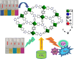 Graphical abstract: Selective dye sorption and metal ion sensing behaviours of a new Cd-based MOF