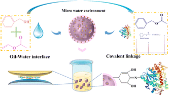 Graphical abstract: Lipase/tannic acid magnetic hydrogel microspheres and their continuous catalytic application