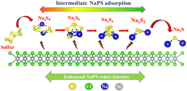 Graphical abstract: Two-dimensional NiCl2 monolayers as a promising multifunctional anchoring material in sodium–sulfur batteries