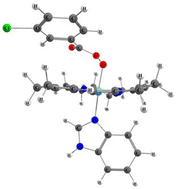 Graphical abstract: A complex of cobalamin with an organic peroxide