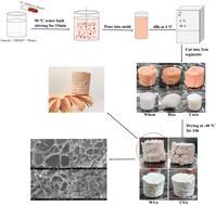 Graphical abstract: Preparation and characterisation of wheat starch-based aerogels for procyanidin encapsulation to enhance stability