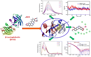 Graphical abstract: Interaction of plant alkaloid berberine with β-lactoglobulin: an account from spectroscopic, thermodynamic, and small-angle X-ray scattering studies aided by theoretical calculations
