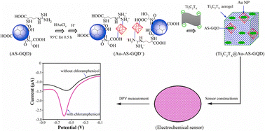 Graphical abstract: Facile synthesis of Ti3C2Tx@gold nanoparticle-arginine and serine-functionalized graphene quantum dot aerogel for electrochemical detection of chloramphenicol