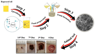 Graphical abstract: Development and characterization of bio-based polyurethane flexible foams containing silver nanoparticles for efficient dermal healing application