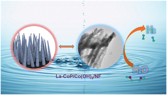 Graphical abstract: Co(OH)2 nanosheets decorated with La-CoP nanorod array for alkaline electrocatalytic hydrogen evolution reaction