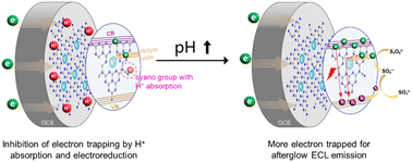 Graphical abstract: Modulation of afterglow electrochemiluminescence from nitrogen-deficient graphitic carbon nitride by pH