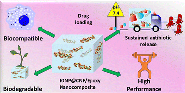 Graphical abstract: A robust epoxy nanocomposite with iron oxide decorated cellulose nanofiber as a sustained drug delivery vehicle for antibacterial drugs