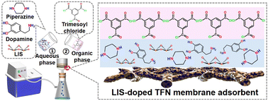 Graphical abstract: LIS-doped thin-film nanocomposite membrane adsorbent with low shielding effect for effective lithium recovery from geothermal water