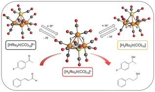 Graphical abstract: Heterometallic Ru–Ir carbonyl clusters as catalyst precursors for hydrogenation and hydrogen transfer reactions