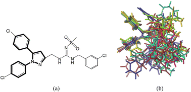 Graphical abstract: 3D-QSAR, molecular docking and molecular dynamics analysis of pyrazole derivatives as MALT1 inhibitors