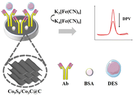Graphical abstract: Construction of a label-free electrochemical immunosensor based on a Co9S8/Co3C@C dual-heterojunction for the detection of diethylstilbestrol