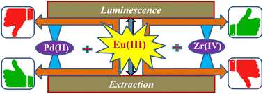 Graphical abstract: Understanding the correlation between extraction and luminescence behavior of Eu(iii) in a biphasic system in the presence of Co-extracting metal ions