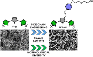 Graphical abstract: Improvement of morphological structure and electrochemical charge storage performance of a new poly(terthiophene)-based conducting film through side-chain engineering