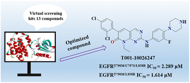 Graphical abstract: In silico screening applied in drug discovery: T001-10026247 as a novel fourth-generation EGFR inhibitor