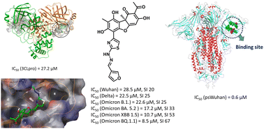 Graphical abstract: Usnic acid based thiazole-hydrazones as multi-targeting inhibitors of a wide spectrum of SARS-CoV-2 viruses