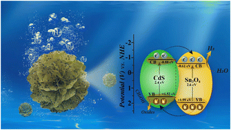 Graphical abstract: CdS QDs decorated on 3D flower-like Sn3O4: a hierarchical photocatalyst with boosted charge separation for hydrogen production