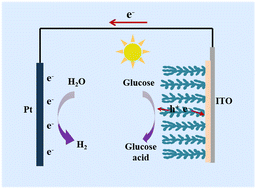 Graphical abstract: A highly efficient light-driven non-enzymatic glucose sensor based on AuNi nanodendrites