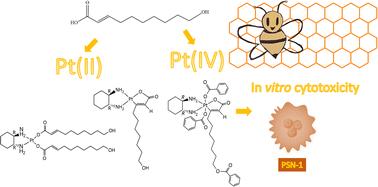 Graphical abstract: Pt(ii) and Pt(iv) complexes with a major component of royal jelly as innovative antitumor drug candidates