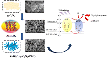 Graphical abstract: Construction of type II ZnBi2O4/g-C3N4 heterojunction photocatalysts for efficient degradation of acid red B