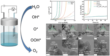 Graphical abstract: Electrocatalytic oxygen evolution activity of surfactant-free cobalt- and manganese-based spinel oxide nanoparticles in acid