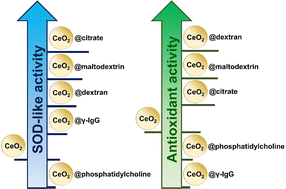 Graphical abstract: Biocompatible ligands modulate nanozyme activity of CeO2 nanoparticles