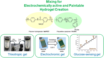 Graphical abstract: A thixotropic molecular hydrogel composite composed of polymer hydrogelator and self-doping polyaniline copolymer for electrochromic and glucose sensing applications