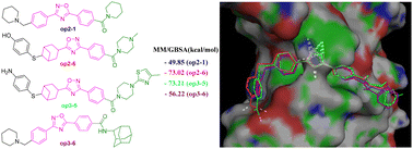 Graphical abstract: Discovering potential inhibitors of the YEATS domain of YEATS2 through virtual screening, molecular optimization and molecular dynamics simulations